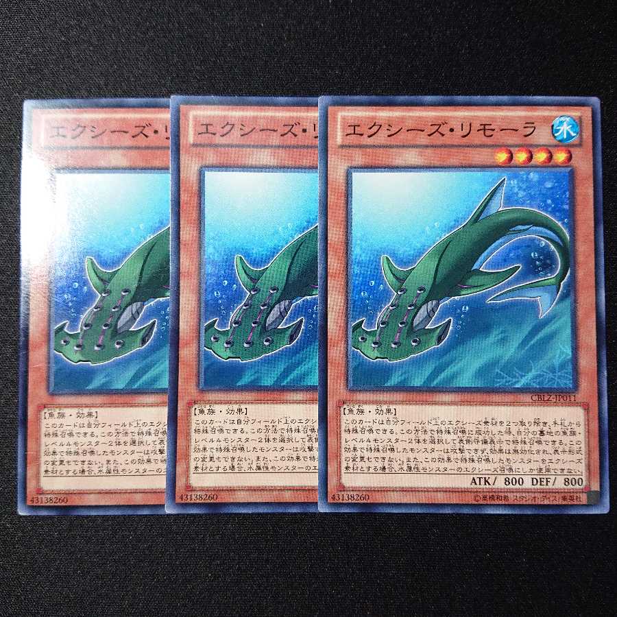 エクシーズ・リモーラ