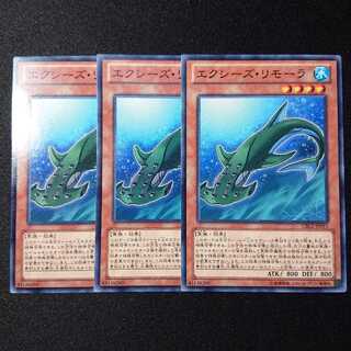 エクシーズ・リモーラ