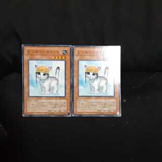 (傷あり)レスキューキャット２枚