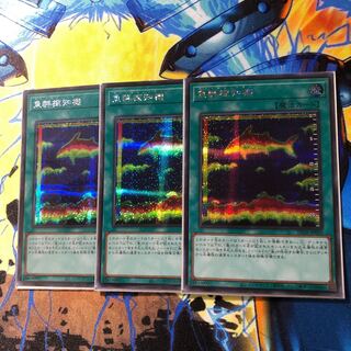 魚群探知機 シークレット 3枚　遊戯王