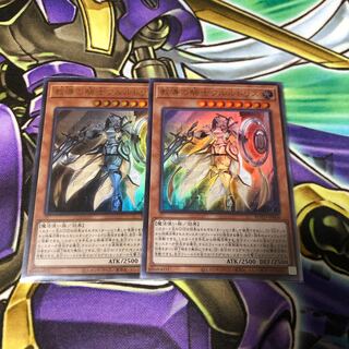 教導の騎士フルルドリス