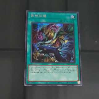 突然回帰 シークレットレア PHNI-JP070　【木林堂】