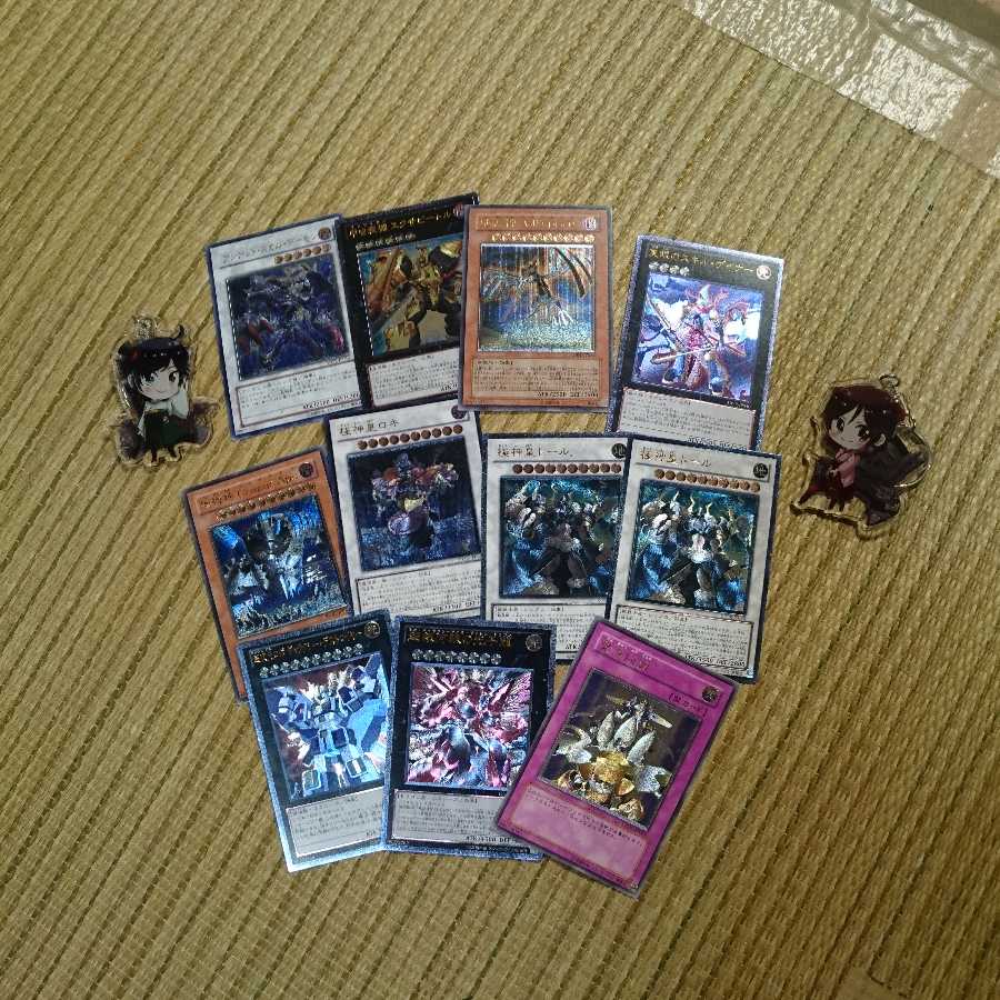 レリーフ11枚 超銀河眼の光子龍 緊急同調 極神皇ロキ トール 地縛神など