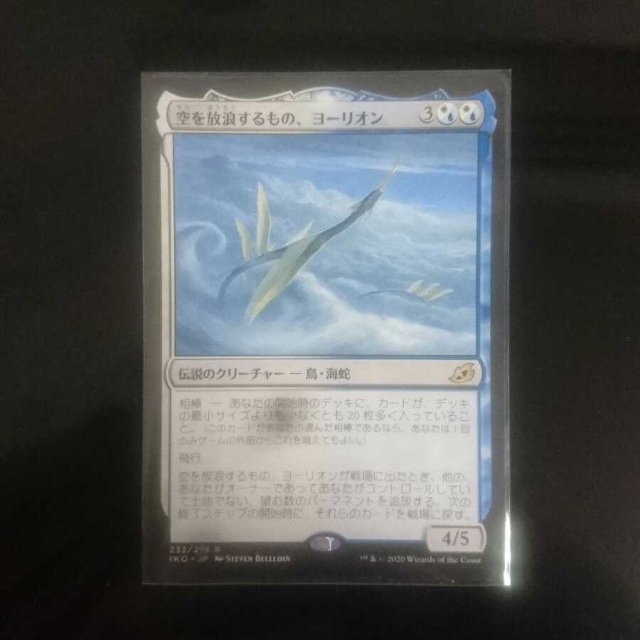 空を放浪するもの、ヨーリオン 2枚セット