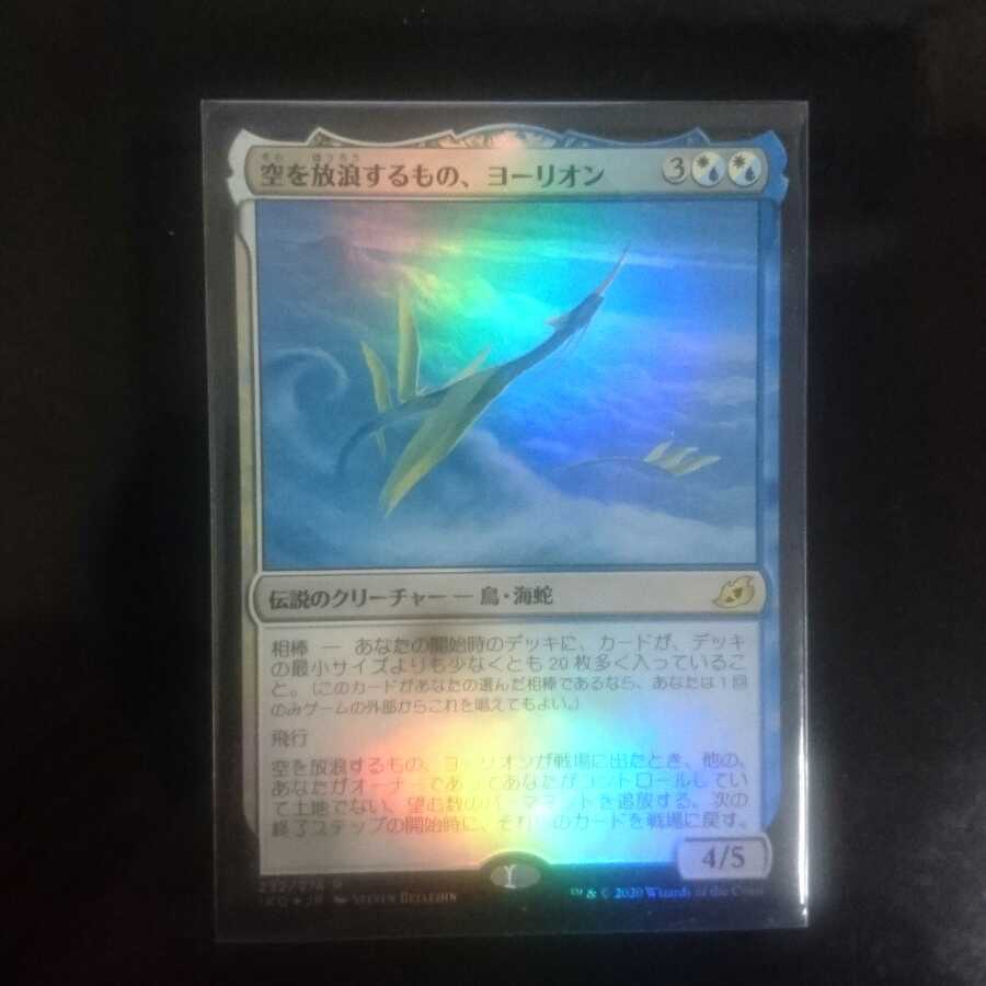 空を放浪するもの、ヨーリオン 2枚セット