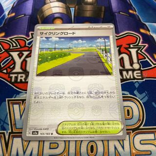 サイクリングロード(マスターボール柄/ミラー仕様) U 165/165