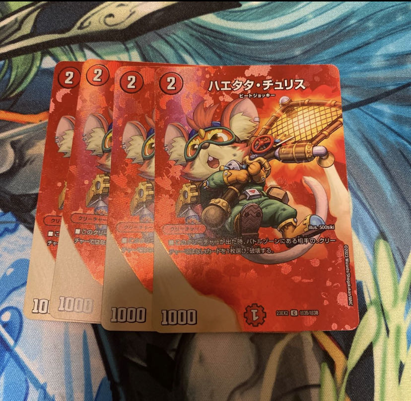 With gift Haetatatu Squirrel