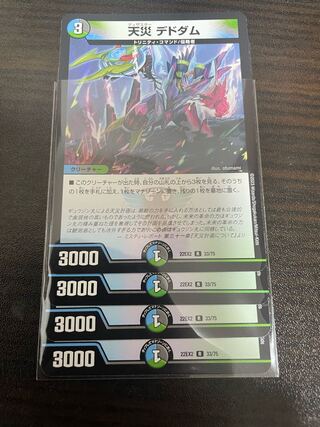 天災 デドダム R 33/75