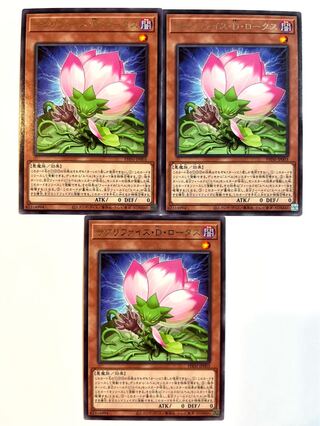 Relinquished D. Lotus [Rare] JP003