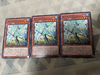 氷水のアクティ ノーマル JP008