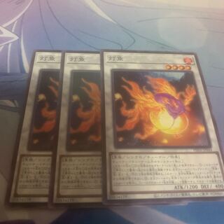 灯魚 ノーマル PHNI-JP044