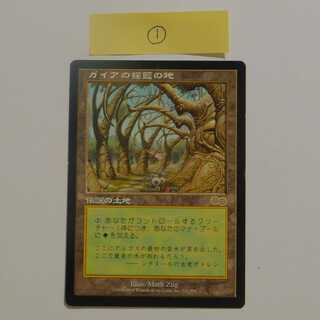 ガイアの揺籃の地／Gaea's Cladle　日１枚　①