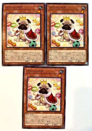 プリンシパグ【ノーマル】JP034