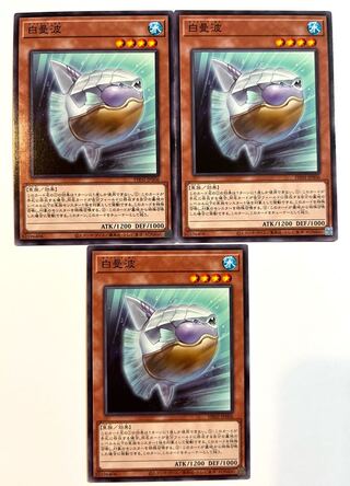 白曼波【ノーマル】JP006