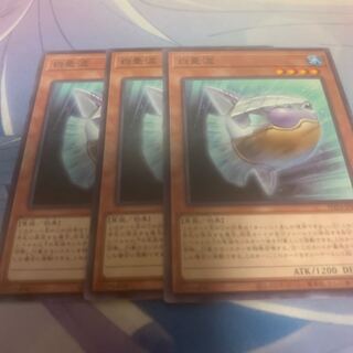 白曼波 ノーマル PHNI-JP006