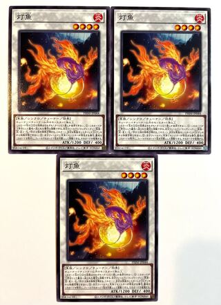 Light Fish [Normal] JP044