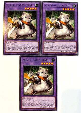 Master of HAM [Normal] JP040