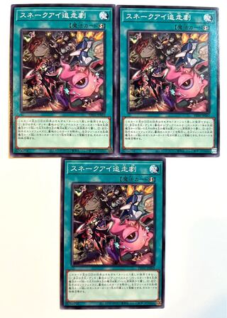 Snake Eye Pursuit Play [Normal] JP062