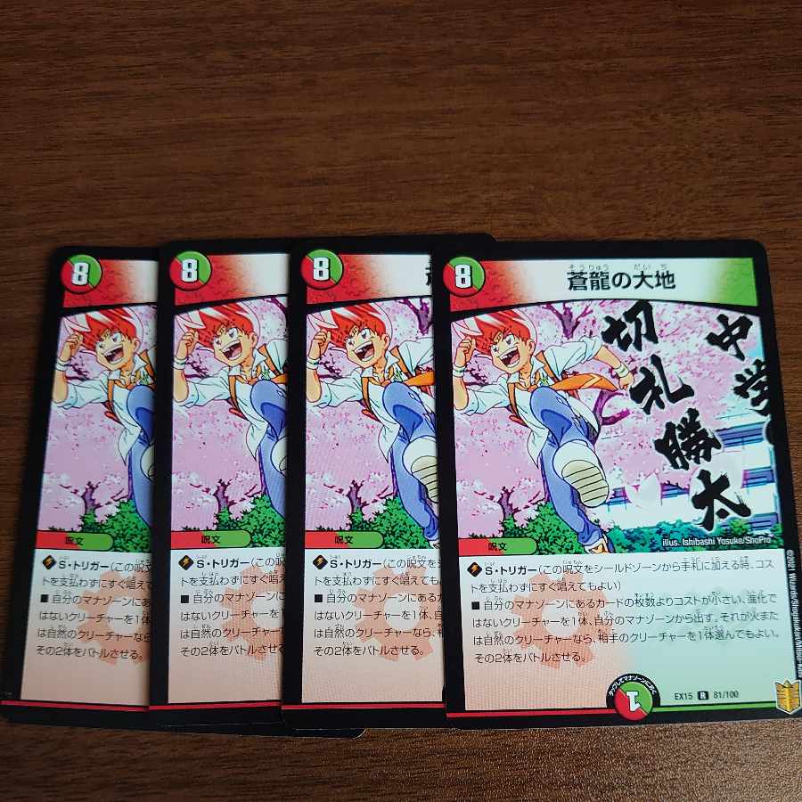 蒼龍の大地 R 81/100