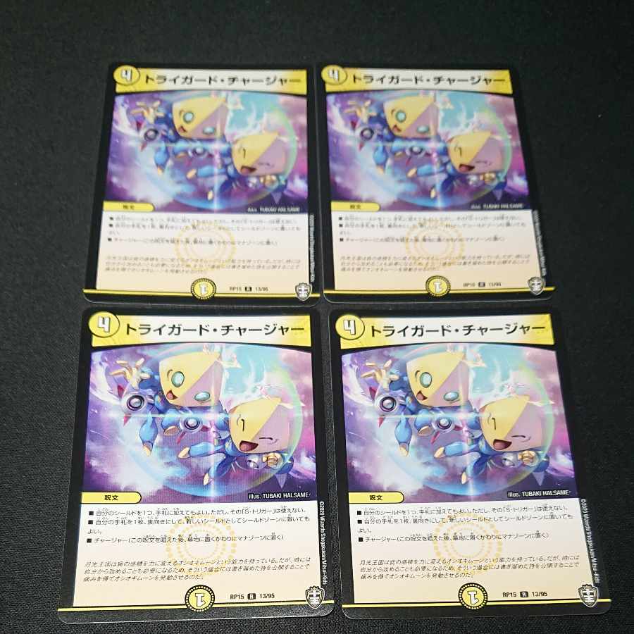 Triguard Charger R 13/95 [1603].