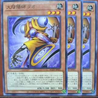 Set Discount Great Yin-Yang Master Tao Normal JP025