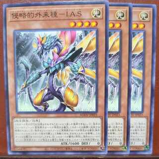 セット割引　侵略的外来種-I.A.S ノーマル JP023