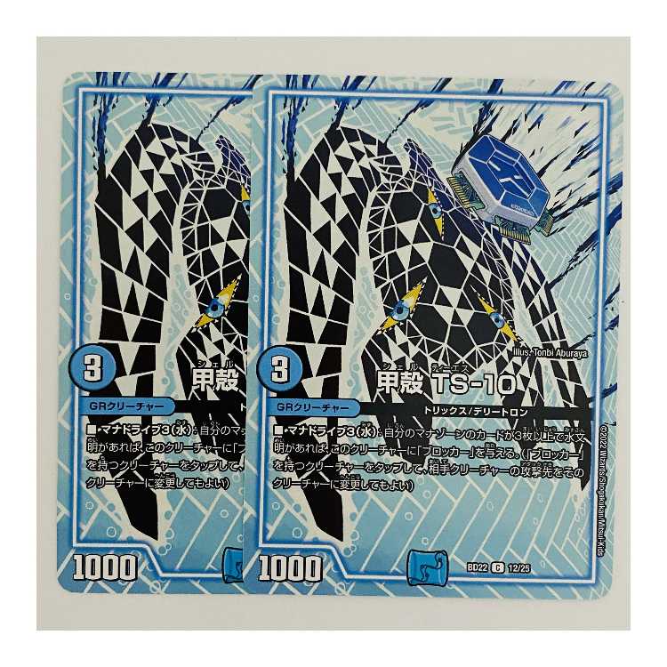 Carapace TS-10 2 sheets DM-BD-22-12-12