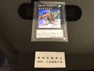 迅雷の騎士ガイアドラグーン