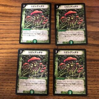 シビレアシダケ　4枚