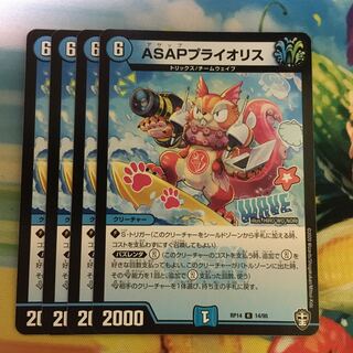 ASAPプライオリス R 14/95