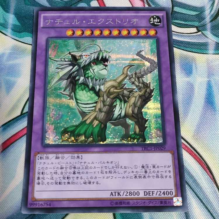 Naturia Exterio Secret Rare JP029