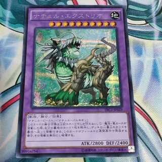 Naturia Exterio Secret Rare JP029