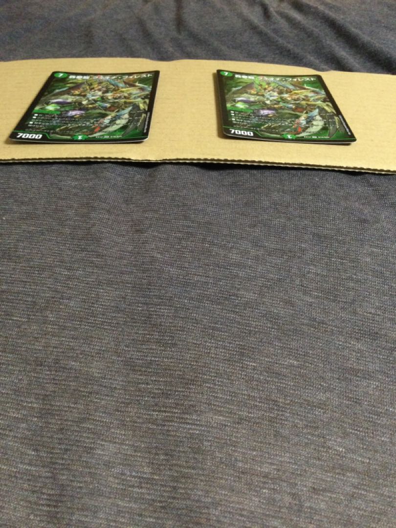 Forest Dream Dragon Fiona Forest SR S16/S20