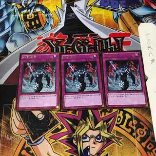 せつ 様 専用 1枚