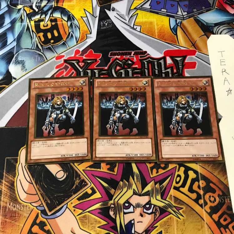 D.D. Warrior Lady GS03 3 Gold Set of 3 Tera