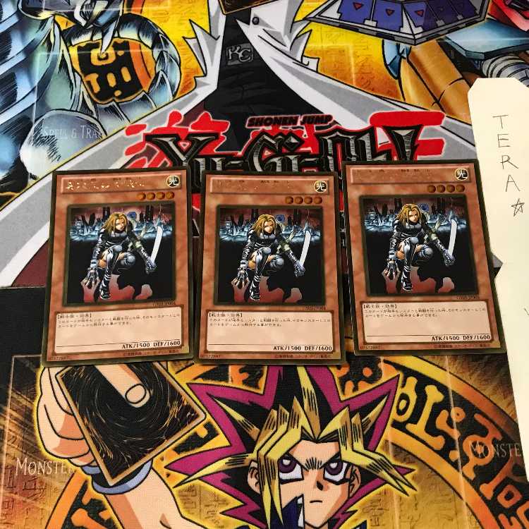 D.D. Warrior Lady GS03 5 Gold Set of 3 Tera 3枚