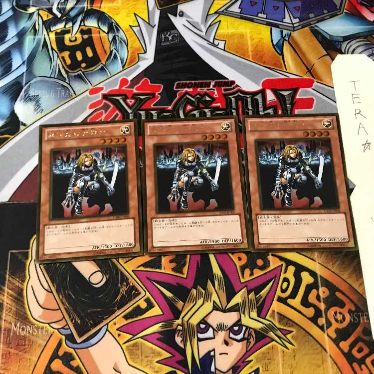 D.D. Warrior Lady GS03 6 Gold Set of 3 Tera