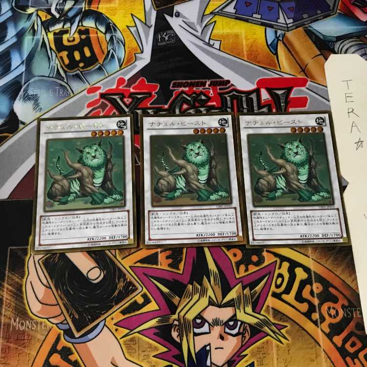 Naturia Beast GS05 1 Gold Set of 3 Tera