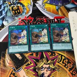 犬賞金 CHIM 4 スーパー 3枚セット てら