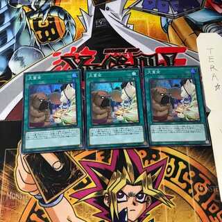 犬賞金 CHIM 5 スーパー 3枚セット てら