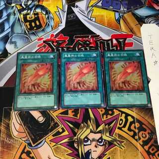 鳳凰神の羽根 FET 5 スーパー 3枚セット てら