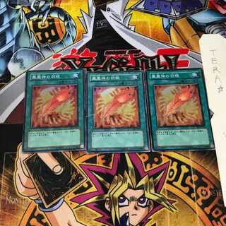 A Feather of the Phoenix FET 10 Super 3-piece set Terra