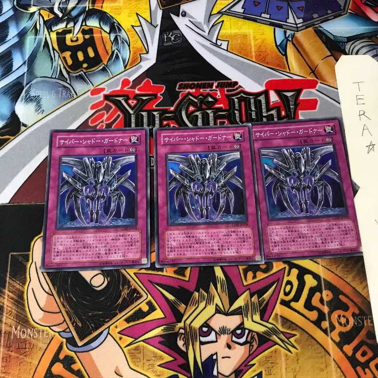 サイバー・シャドー・ガードナー CDIP 8 スーパー 3枚セット てら