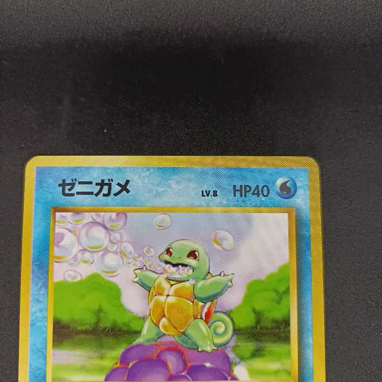 旧裏初版　ゼニガメ