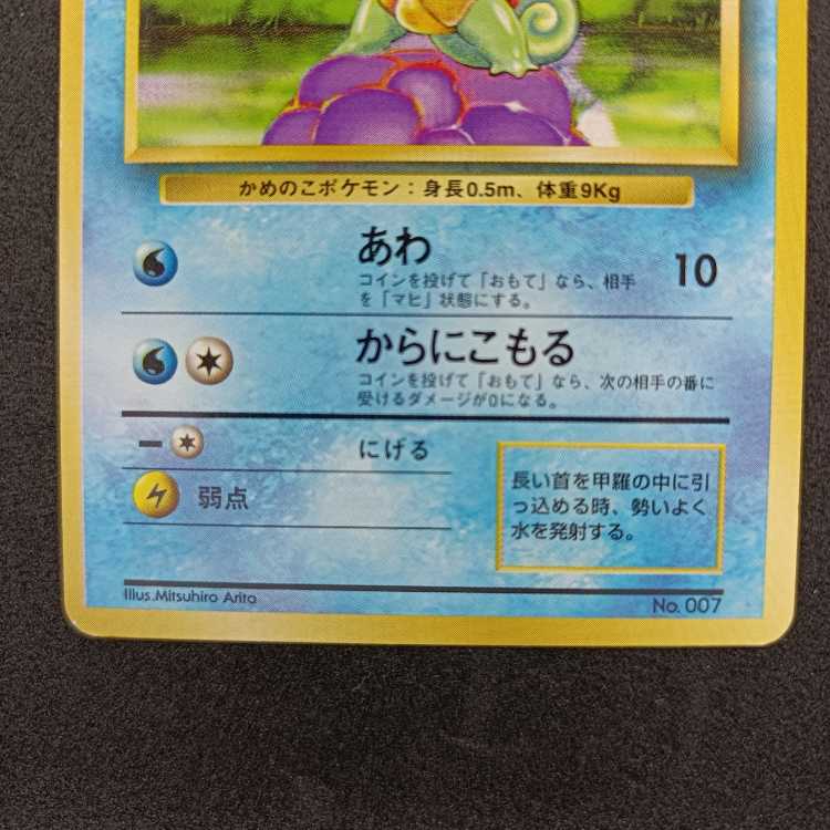 旧裏初版　ゼニガメ