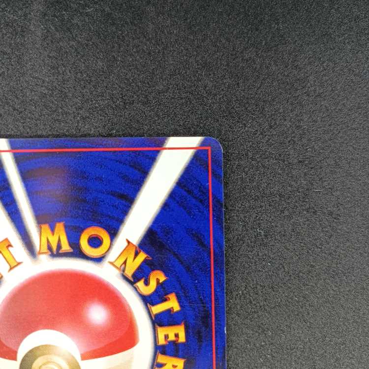 旧裏初版　ゼニガメ