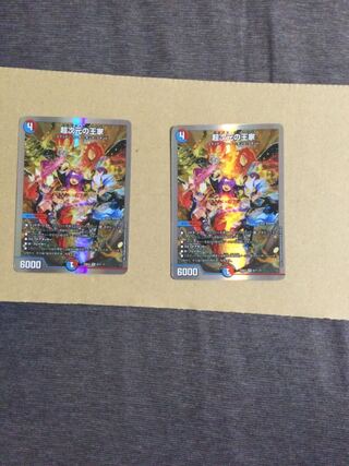 超次元の王家 SR S13/S15