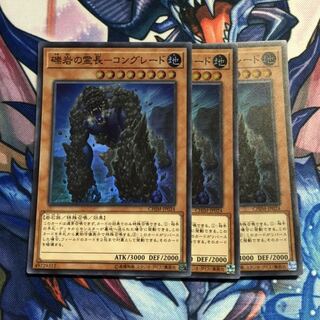 礫岩の霊長-コングレード 3枚セット 遊戯王