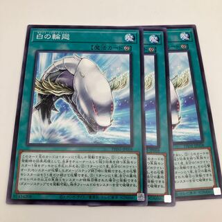 White Rings Normal PHNI-JP058