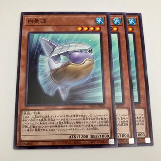 白曼波 ノーマル PHNI-JP006